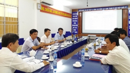 Hoàn thành Chỉ số giá XD năm 2018 của TP.Cần Thơ và các tỉnh thành khác