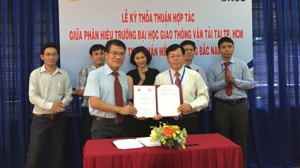 Hòa Bình: Quyết định 149/QĐ-UBND Công bố Bộ đơn giá dịch vụ công ích đô thị mới năm 2023