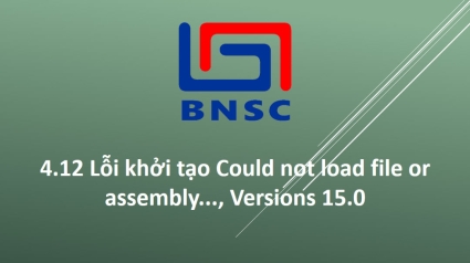 4.12 Lỗi khởi tạo Could not load file or assembly..., Versions 15.0