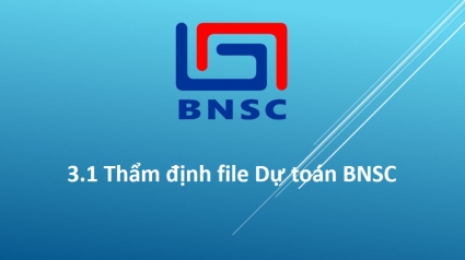 3.1 Thẩm định file Dự toán BNSC