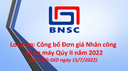Long An: Công bố Đơn giá nhân công, giá ca máy Qúy II năm 2022