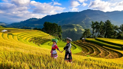 Yên Bái: Công bố Đơn giá nhân công, giá ca máy năm 2023