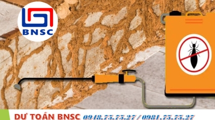 Tổng hợp một số Định mức phòng trừ mối công trình xây dựng và côn trùng gây hại