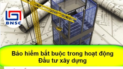 Quy định về bảo hiểm bắt buộc trong hoạt động đầu tư xây dựng theo Nghị định 67/2023/NĐ-CP