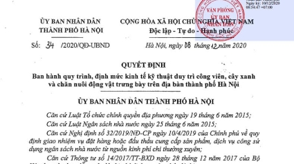 Hà Nội: Quyết định 30; 32; 33; 34/2020/QĐ-UBND ban hành một số định mức phần DVCI
