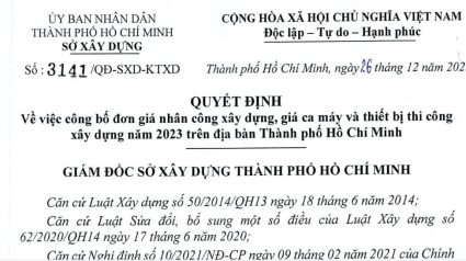 SXD Hồ Chí Minh: Công bố Đơn giá NC, MTC năm 2023 theo Quyết định 3141/QĐ-SXD do BNSC tư ván thực hiện