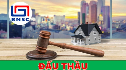Luật Đấu thầu số: 22/2023/QH15, Hiệu lực áp dụng từ ngày 01/1/2024