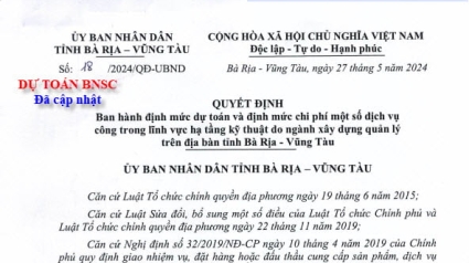 Bà Rịa - Vũng Tàu: Quyết định 18/2024/QĐ-UBND Ban hành định mức dự toán và định mức chi phí một số dịch vụ công trong lĩnh vực hạ tầng kỹ thuật