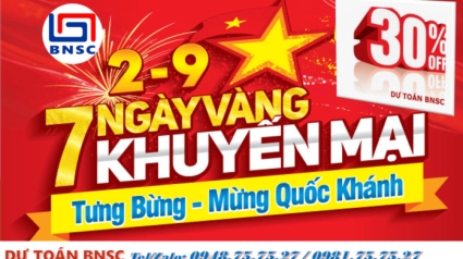 Mừng Đại lễ Quốc khánh 2/9: GIẢM 30% giá phần mềm