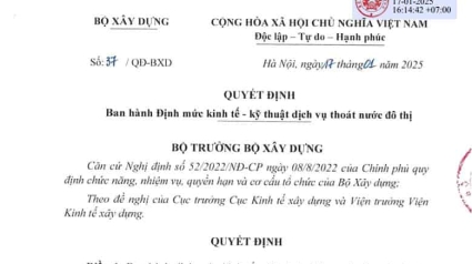 Bộ Xây dựng: Quyết định 37; 38; 39/QĐ-BXD Định mức Dịch vụ thoát nước; Dịch vụ cây xanh; Dịch vụ chiếu sáng đô thị