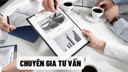 Quy định mức lương chuyên gia tư vấn làm cơ sở cho việc xác định giá gói thầu