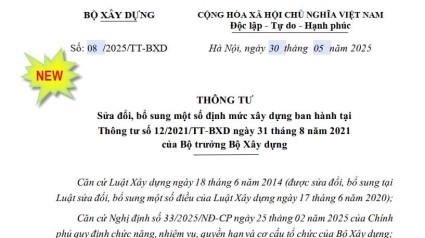 Thông tư 08/2025/TT-BXD Sửa đổi, bổ sung một số định mức xây dựng ban hành tại Thông tư 12/2021/TT-BXD