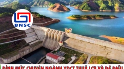 Bộ NNMT: Thông tư 04/2025/TT-BNNMT Định mức chuyên ngành xây dựng công trình thuỷ lợi và đê điều