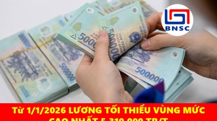 Nghị định 293/2025/NĐ-CP quy định tăng lương tối thiểu vùng từ ngày 1/1/2026, mức cao nhất 5,3 triệu đồng/tháng